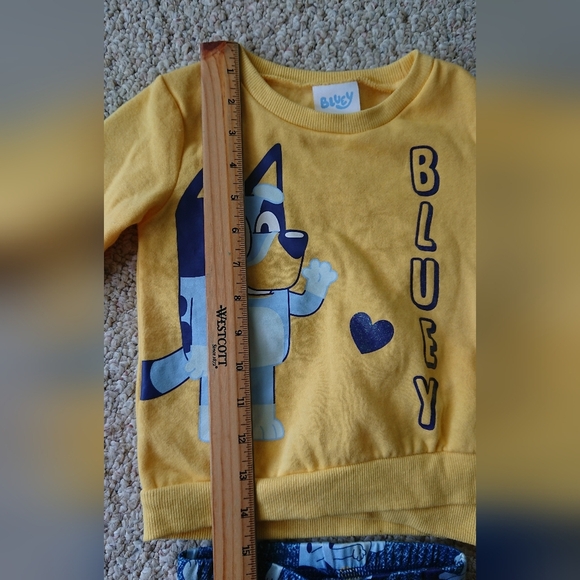 Bluey Toddler Fleece & Pants Outfit Set, 2-Piece, 3T - Picture 6 of 12